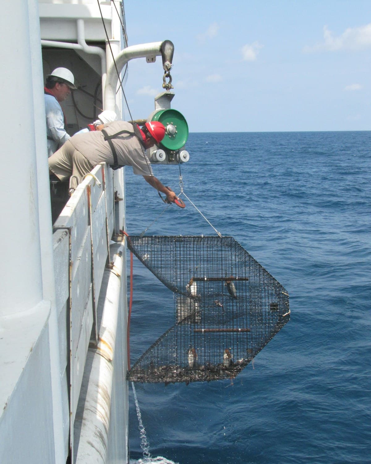 Dos personas trabajan desde la cubierta de una embarcación mientras una trampa metálica para peces cuelga sobre el mar.