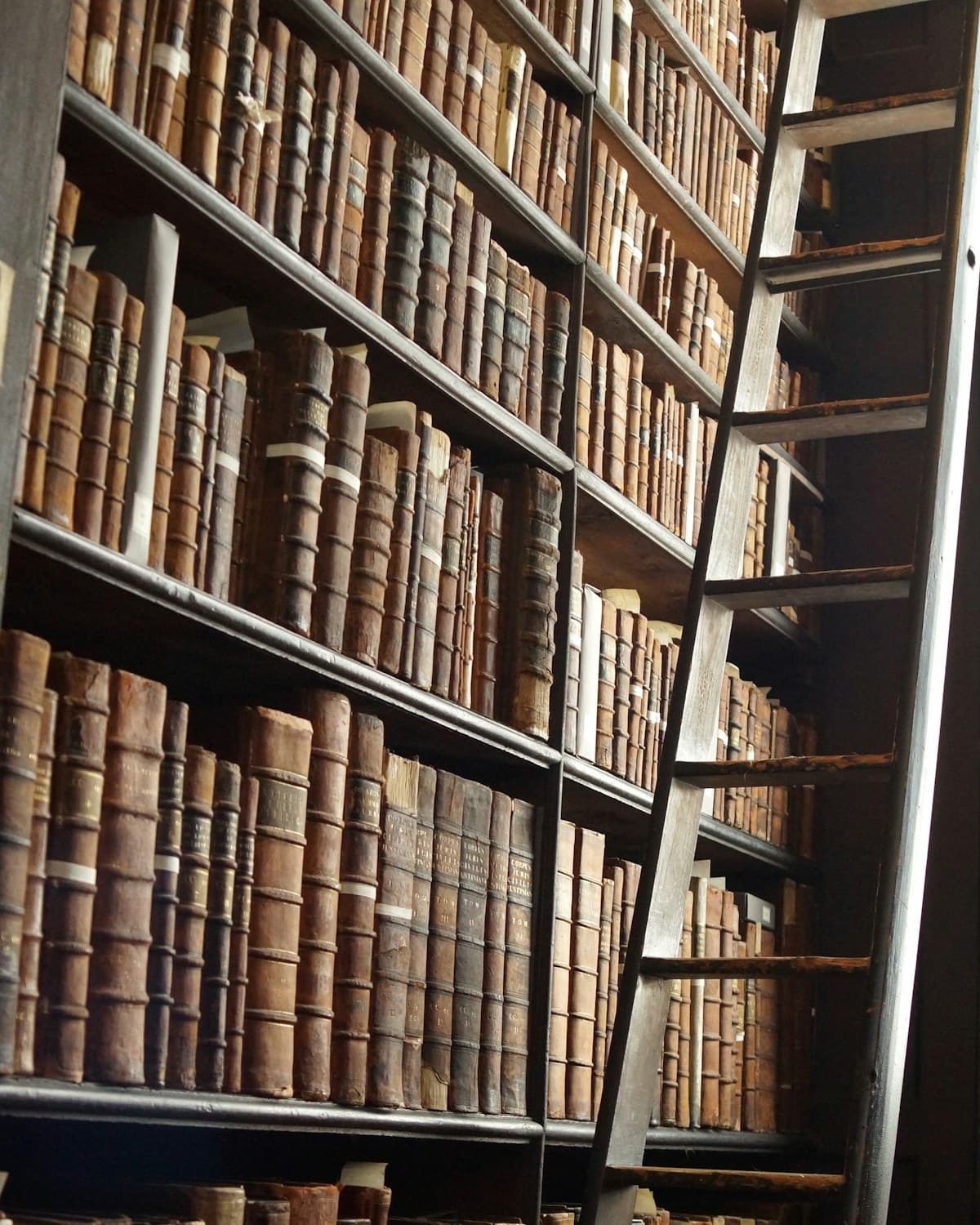 Estanterías altas con libros antiguos y una escalera de madera en una biblioteca.