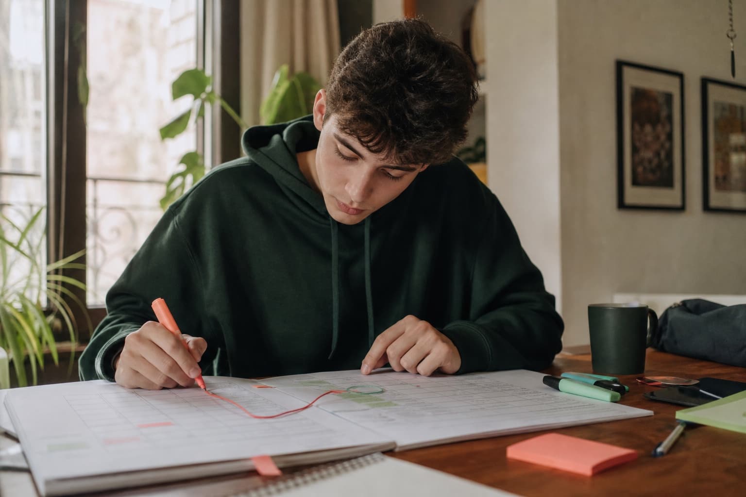 Cómo leer un plan de estudios antes de elegir carrera