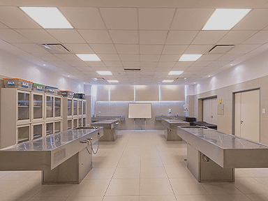 Sala de prácticas con camillas, mesadas y equipamiento de enseñanza clínica.