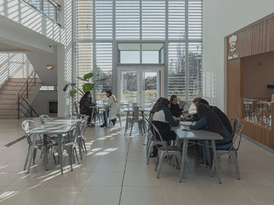 Espacio interior de estudio con mesas, sillas y estudiantes, iluminado por grandes ventanales.