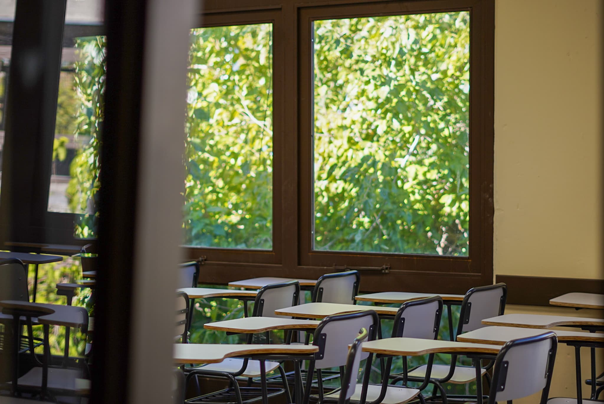 Aula vacía con pupitres junto a grandes ventanas y vista a árboles.