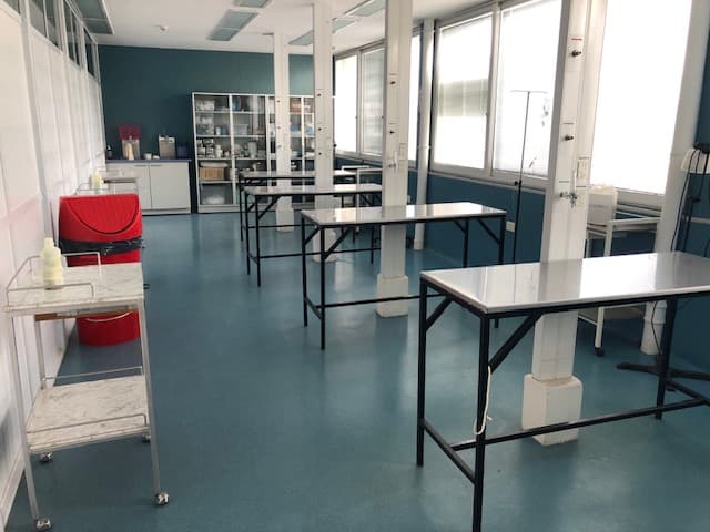 Sala de prácticas con mesas de trabajo, estanterías y ventanales.