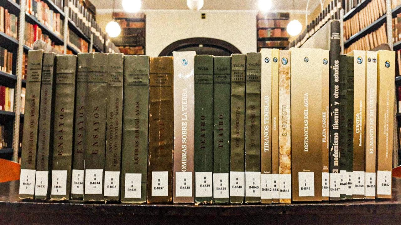 Estantería de biblioteca con libros catalogados.