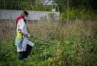 Persona con guardapolvo trabajando entre vegetación en un área de cultivo