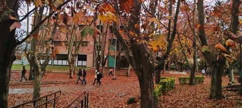 Senderos arbolados con personas caminando frente a un edificio de ladrillo