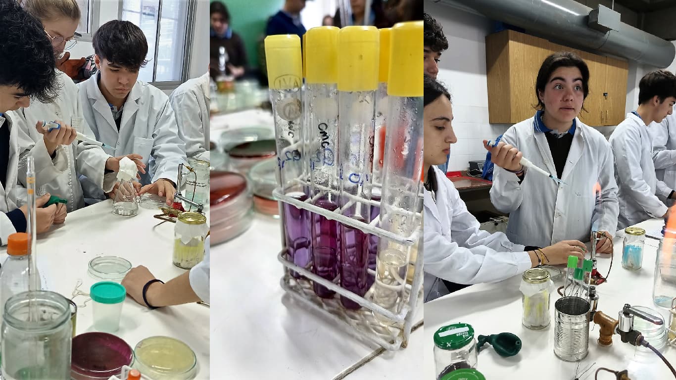 Estudiantes con guardapolvos trabajan con materiales y recipientes en un laboratorio.
