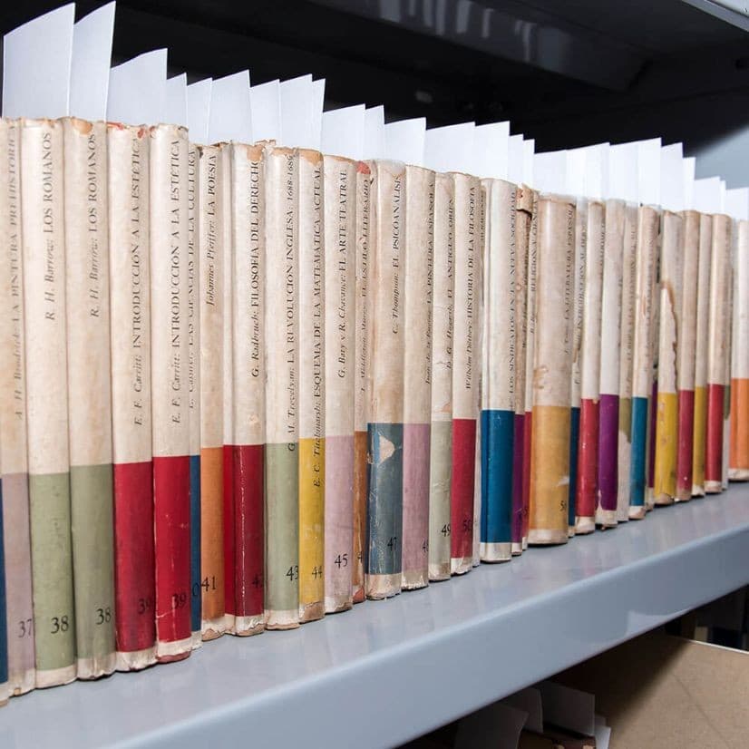 Estantería de biblioteca con libros catalogados y separadores blancos.