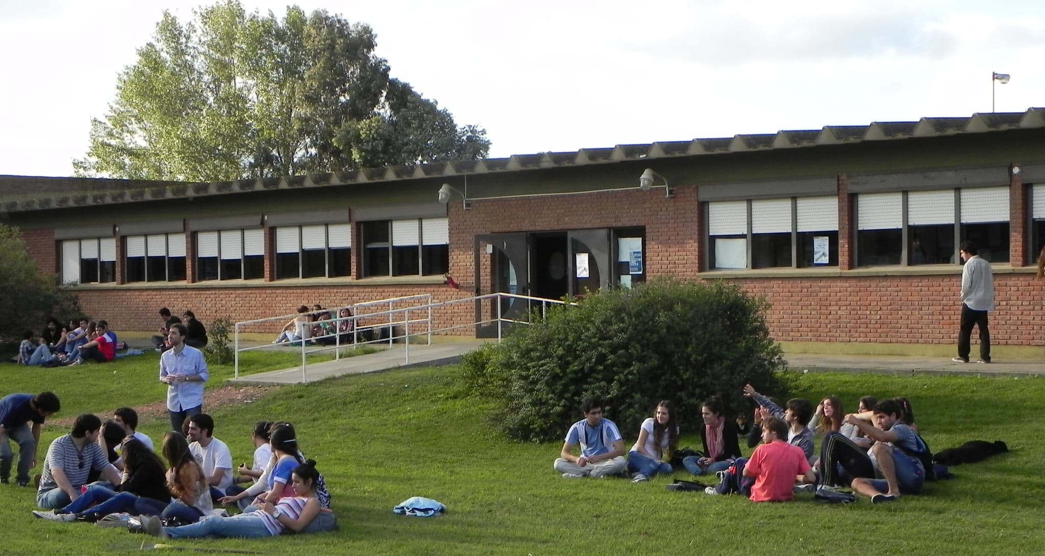 Grupos de estudiantes sentados sobre el césped frente a un edificio universitario