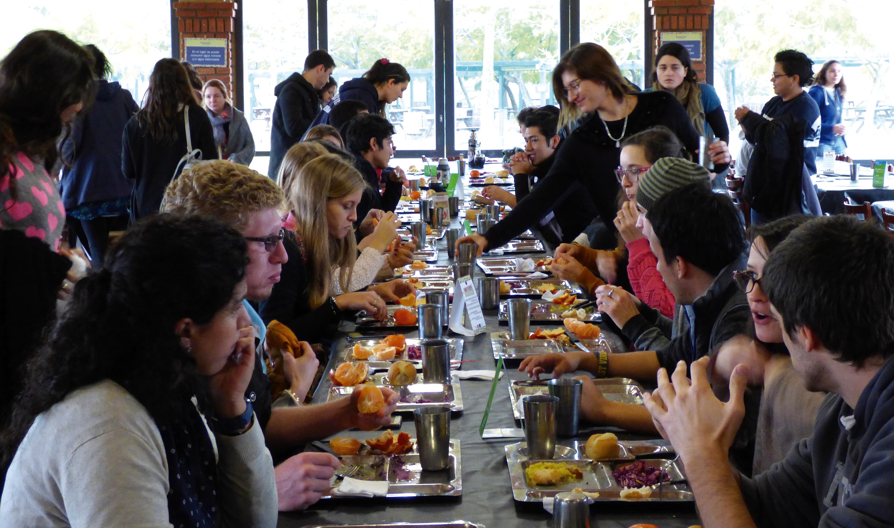 Estudiantes comparten mesas largas durante una comida en un comedor con grandes ventanales.